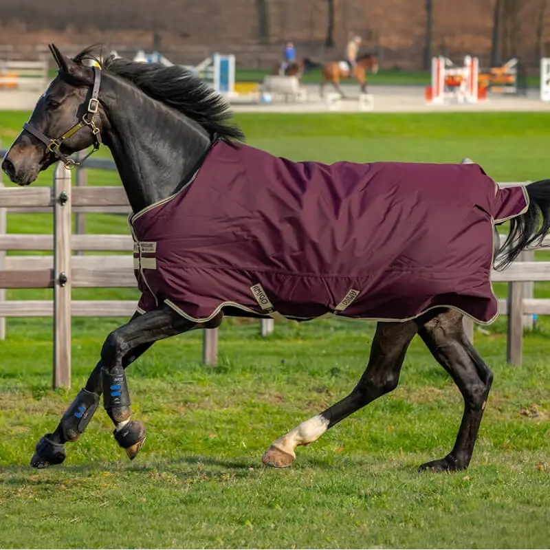 Occasione Amigo Paddock Hero ripstop Lite