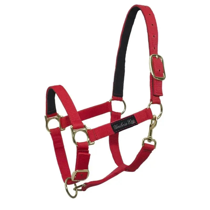 Promozione Esclusiva Capezza in nylon rinforzata in pelle