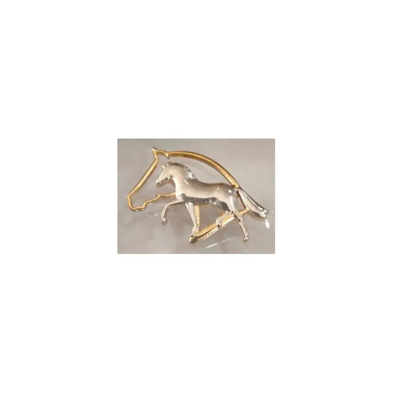 Spedito Oggi Spilla cavallo dentro testa cavallo