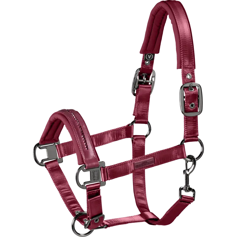 Capezza Satin e Brillanti Classic Sport Pikeur Promozione
