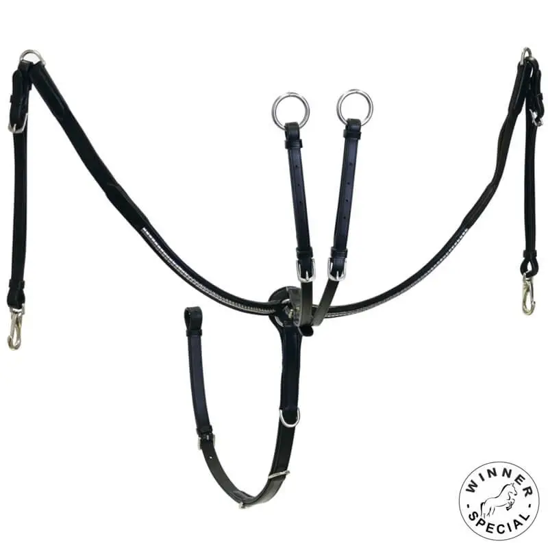 Acquista Ora Pettorale cuoio con clincher silver