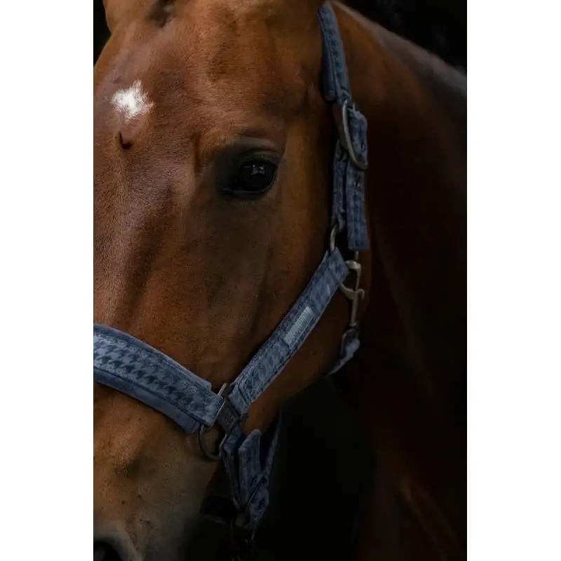Capezza Doublepin Velvet Stamp Essence Eskadron Occasione