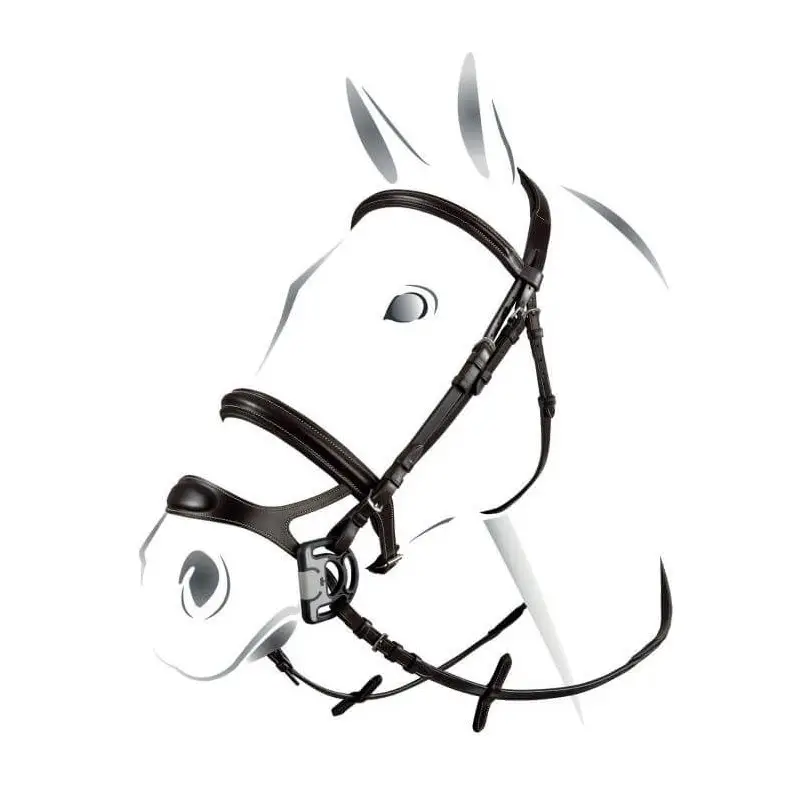 Non Perdere Briglia Equestro Combined