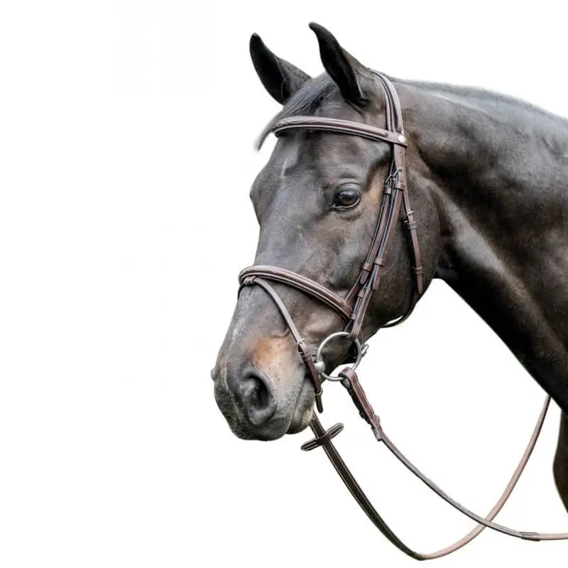 Briglia salto Prestige Occasione Imperdibile
