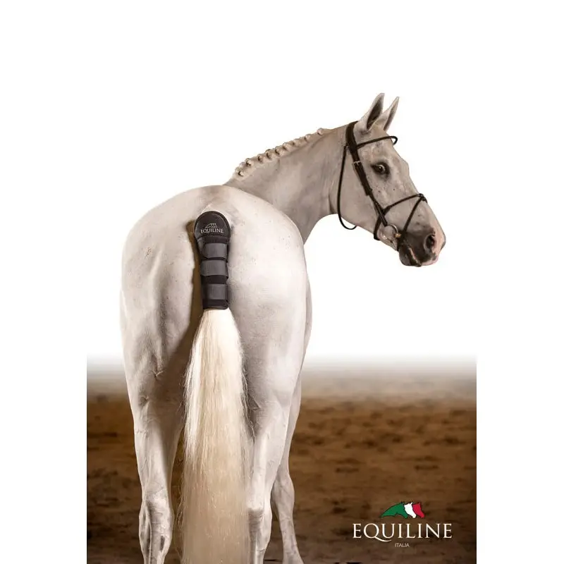 Affare Salvacoda Equiline