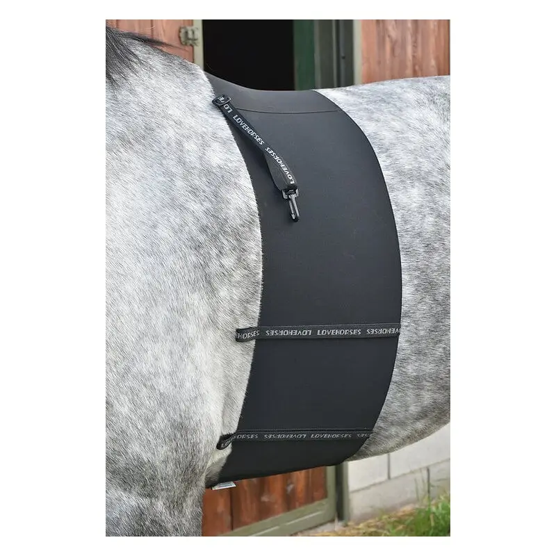 Fascia di rispetto De Luxe Love Horses Soddisfatti O Rimborsati