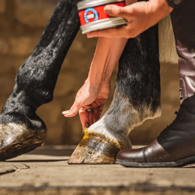 Cornucrescine original hoof ointment 500 ml Sconto