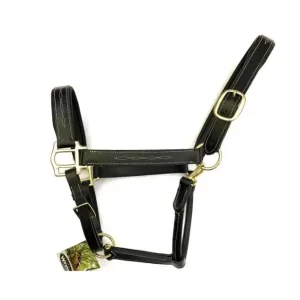 Promo Stagionale CAVEZZA IN CUOIO SARTORE FIBBIE OTTONE E RICAMI A VISTA
