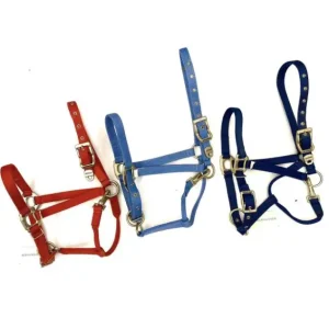 CAVEZZA PREMIUM WALDHAUSEN FIBBIE ACCIAIO SATINATO Consegna Rapida
