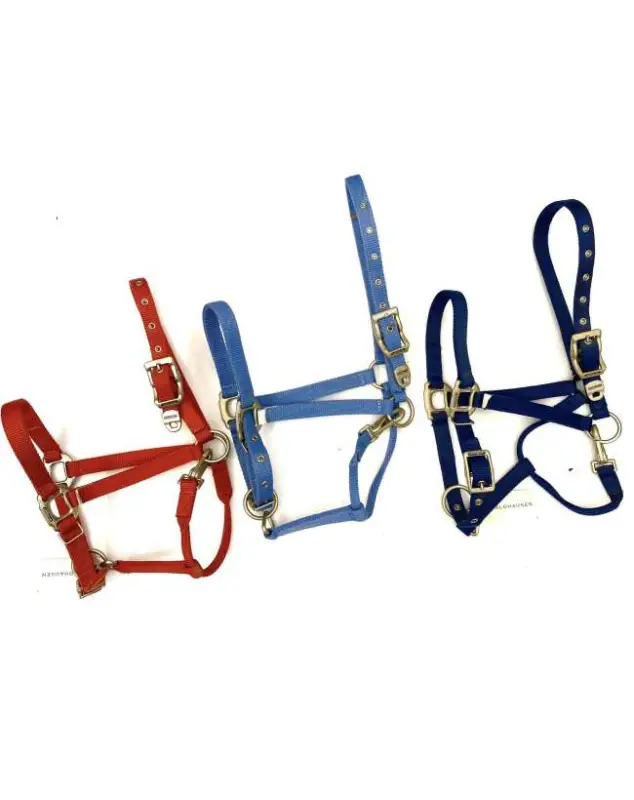 CAVEZZA PREMIUM WALDHAUSEN FIBBIE ACCIAIO SATINATO Consegna Rapida