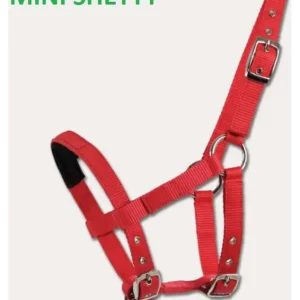 CAPEZZA IN NYLON PER PULEDRO E MINI SHETLAND Prezzo Ridotto