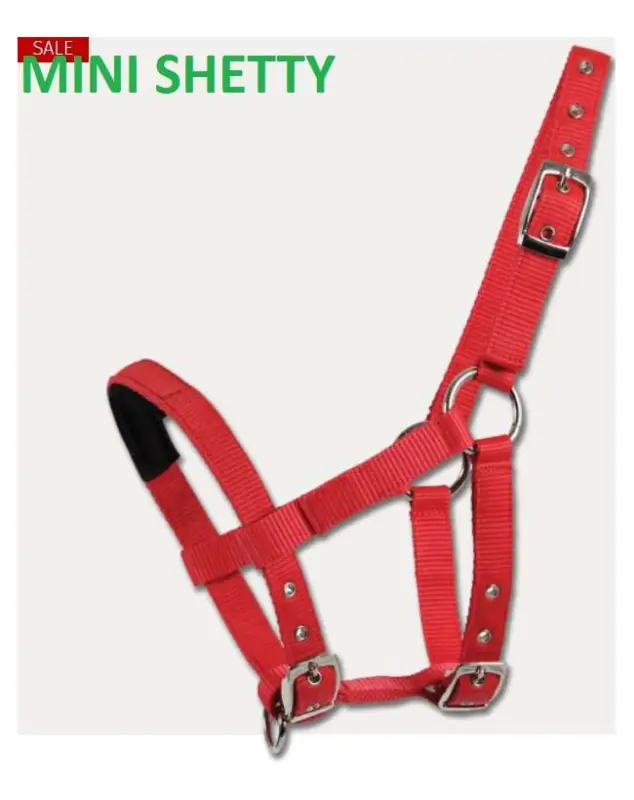 CAPEZZA IN NYLON PER PULEDRO E MINI SHETLAND Prezzo Ridotto