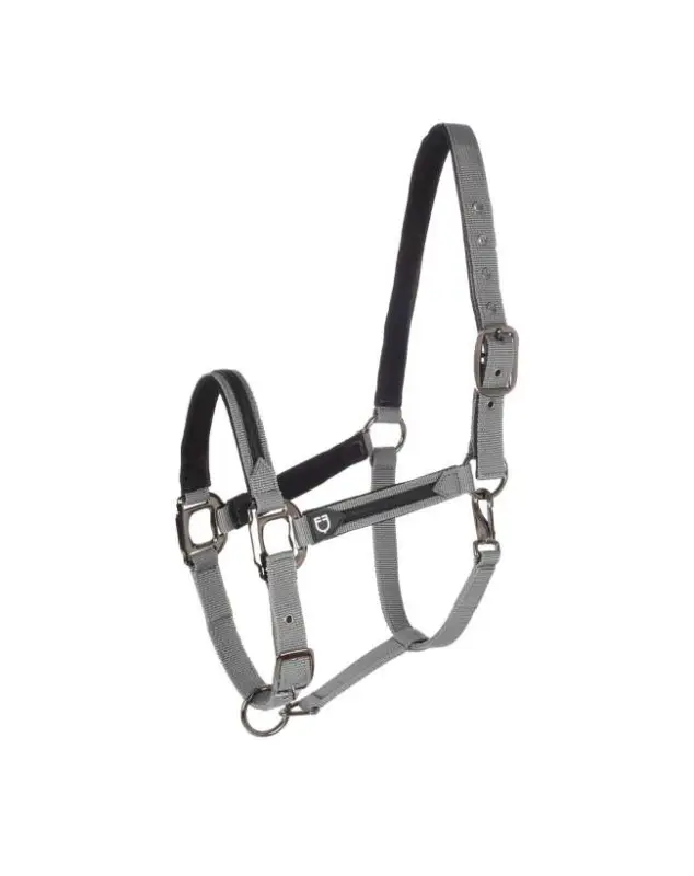 CAVEZZA E LUNGHINA EQUESTRO ELEGANCE Occasione Imperdibile