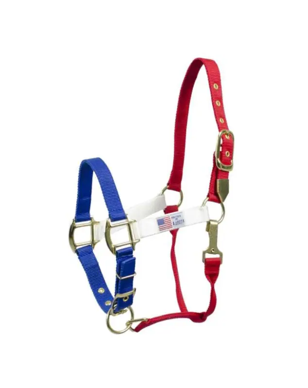 Popolare CAVEZZA IN NYLON COLORI USA