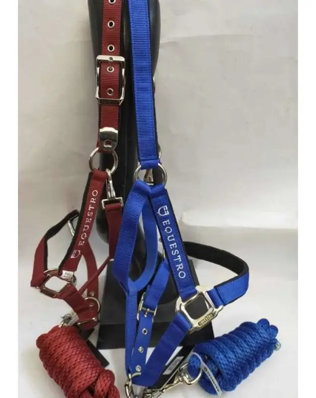 Occasione CAVEZZA EQUESTRO CON LUNGHINA FIBBIE INOX