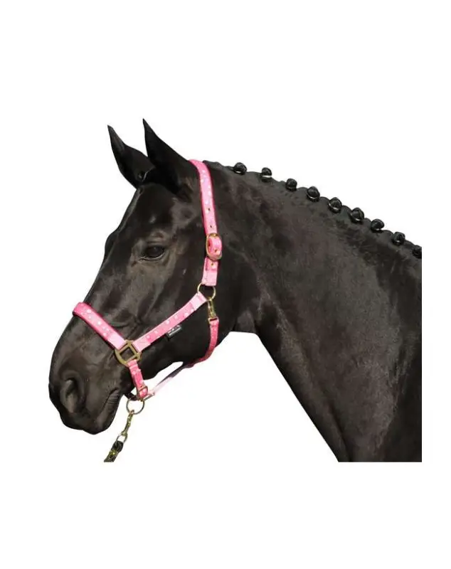 CAVEZZA DA CAVALLO EXTRA FULL Ultimissimo Modello