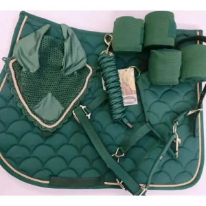 Offerta Lampo COMPLETO VERDE PER IL CAVALLO