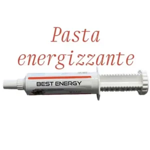 BEST ENERGY MASC PASTA ENERGIZZANTE PER CAVALLI Nuova Collezione