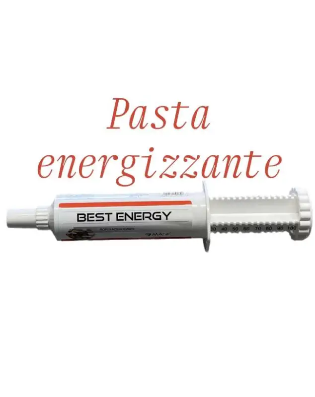 BEST ENERGY MASC PASTA ENERGIZZANTE PER CAVALLI Nuova Collezione