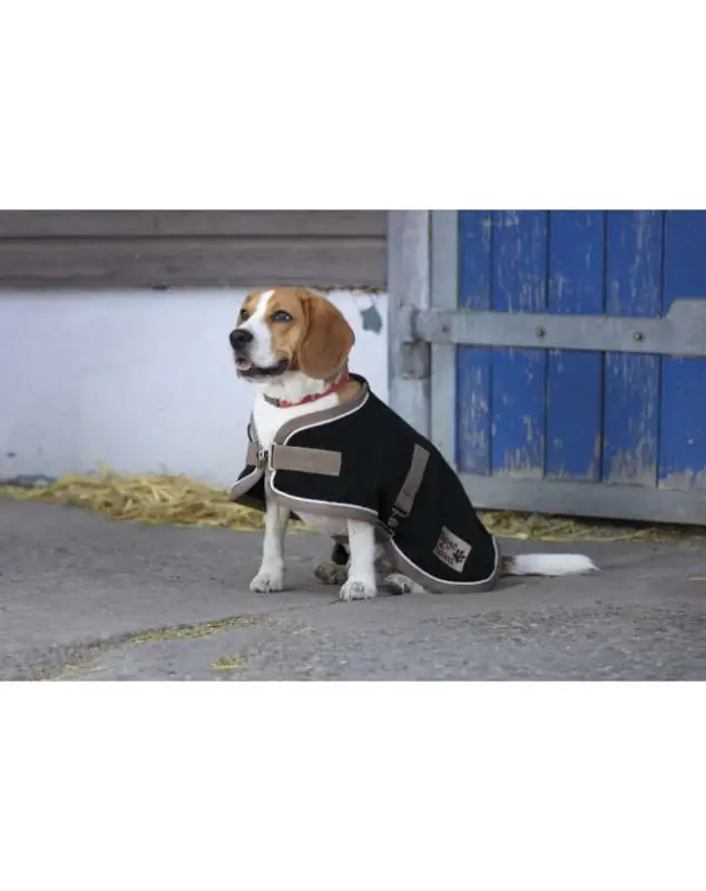 Esclusivo COPERTA IN PILE PER CANE