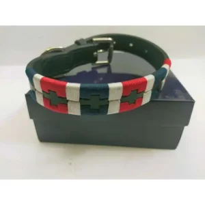 Promozione Esclusiva COLLARE IN CUOIO STILE POLO PER CANE