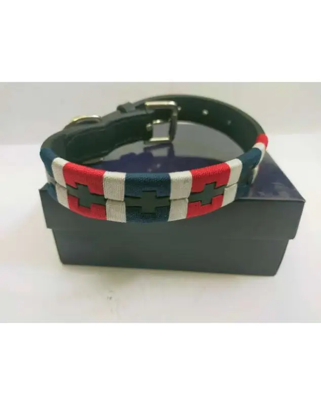 Promozione Esclusiva COLLARE IN CUOIO STILE POLO PER CANE