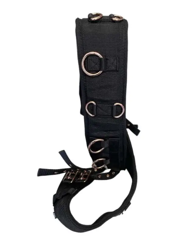 Prezzo Conveniente FASCIONE IN NEOPRENE FIBBIE ROSEGOLD