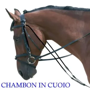 CHAMBON IN CUOIO CON REGOLAZIONE FIBBIE INOX Occasione