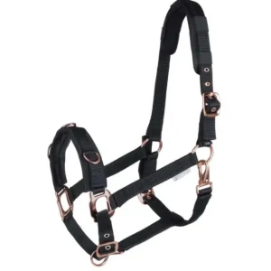 CAVEZZA IN NYLON IMBOTTITA PER LAVORO DEL CAVALLO Occasione