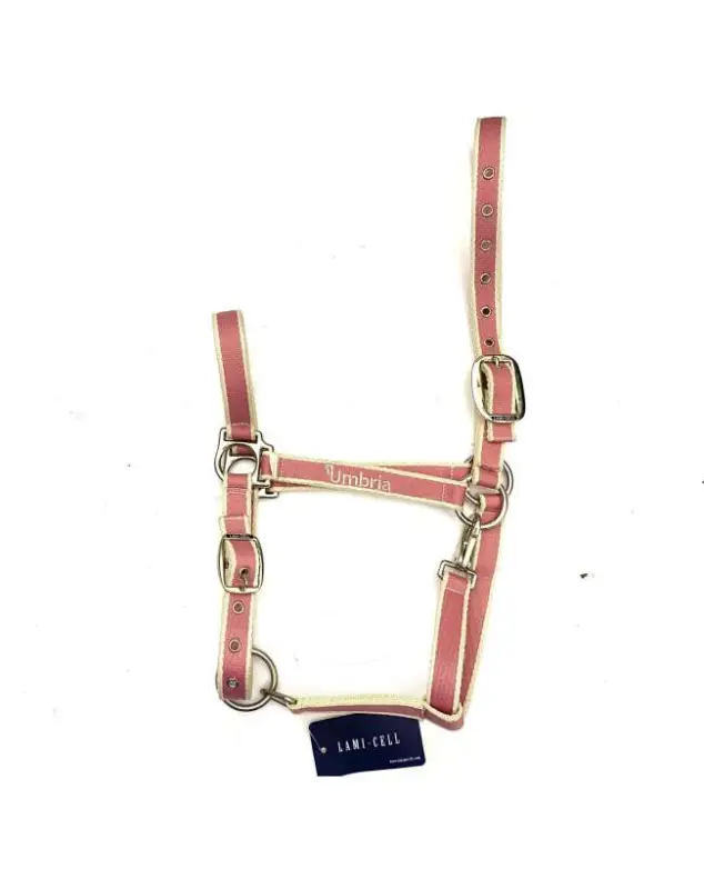 Nuova Collezione CAVEZZA IN NYLON ROSA