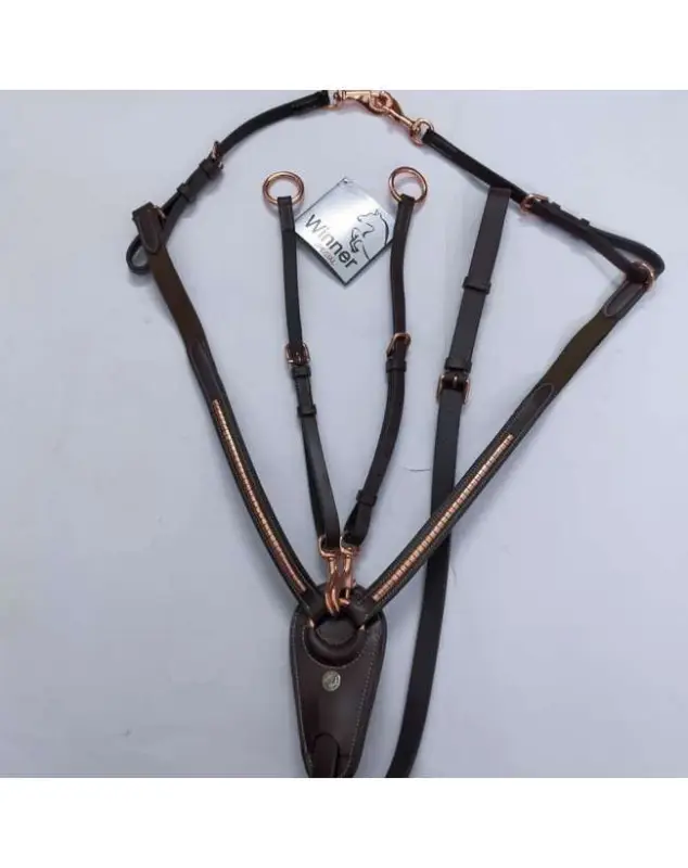 PETTORALE WINNER CLINCHER ROSE/GOLD Soddisfatti O Rimborsati