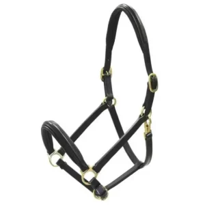 CAVEZZA PER CAVALLI IN CUOIO FIBBIE OTTONE Più Venduto