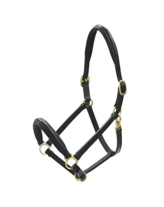 CAVEZZA PER CAVALLI IN CUOIO FIBBIE OTTONE Più Venduto