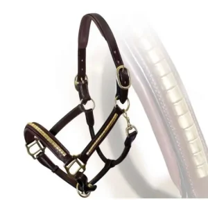 Novità CAVEZZA IN CUOIO INGLESE CLINCHER OTTONE