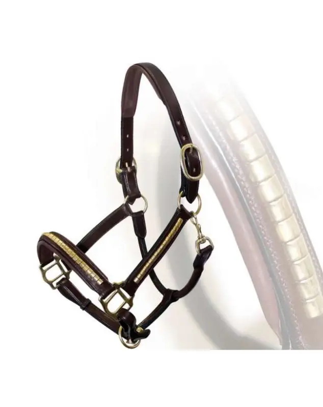 Novità CAVEZZA IN CUOIO INGLESE CLINCHER OTTONE