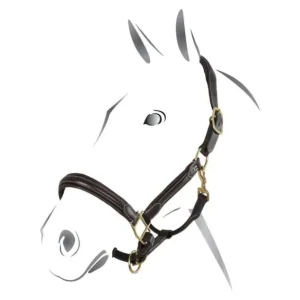 CAVEZZA EQUESTRO IN CUOIO FIBBIE OTTONE Novità