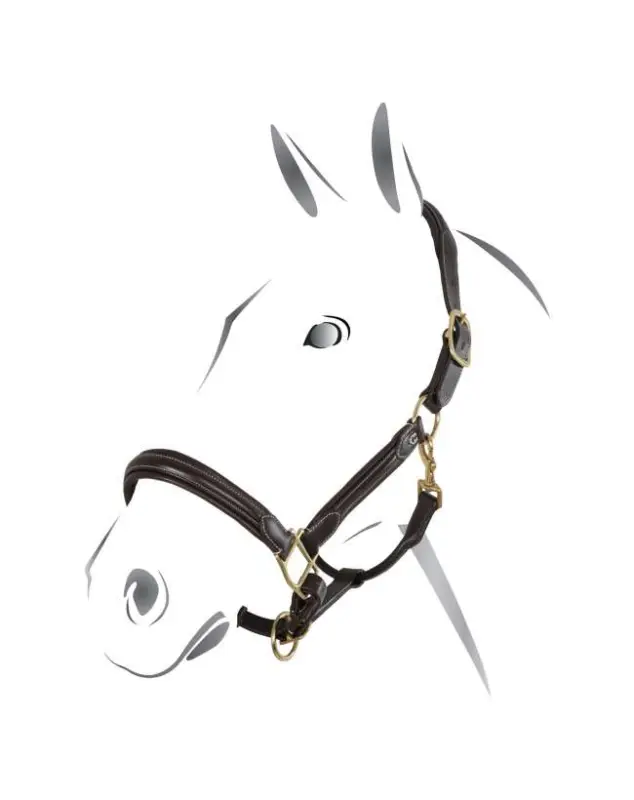 CAVEZZA EQUESTRO IN CUOIO FIBBIE OTTONE Novità
