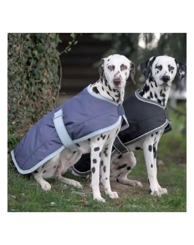 Bestseller COPERTA PER CANE