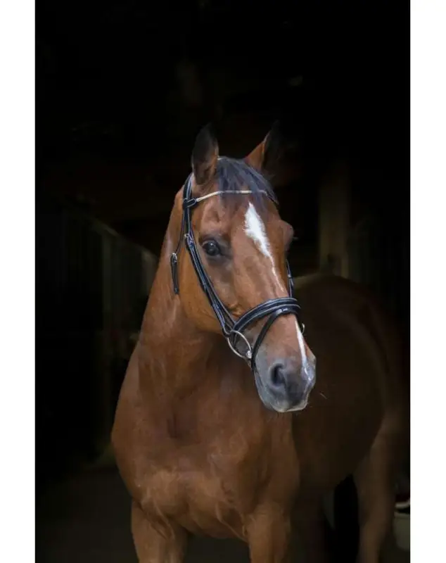 BRIGLIA INGLESE CUOIO FRONTALINO CATENELLA Offerta Lampo