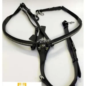 Occasione Imperdibile PETTORALE EQUESTRO CUOIO CLINCHER ARGENTO