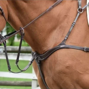 Novità PETTORALE JUMP-IN A 5 PUNTI DI AGGANCIO