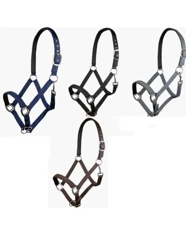 Offerta CAVEZZA NYLON PER CAVALLI RIVESTITA IN NEOPRENE