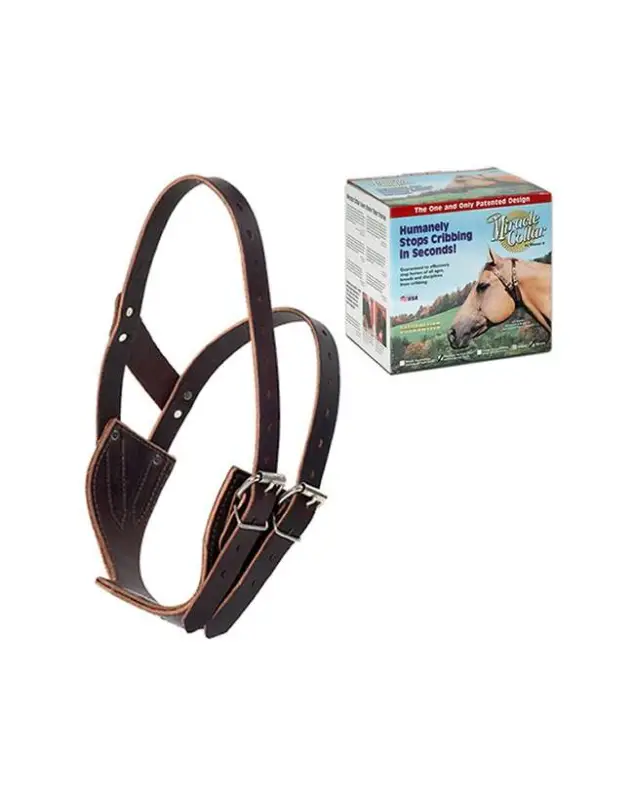 Occasione Imperdibile COLLARE MIRACLE COLLAR ORIGINALE AMERICANO
