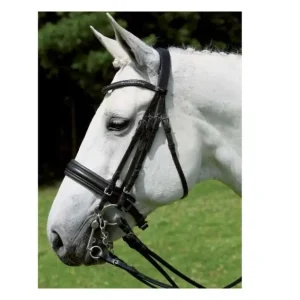 BRIGLIA DA DRESSAGE X-LINE CON DOPPIE REDINI Più Venduto