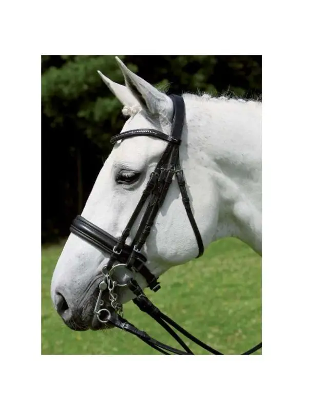 BRIGLIA DA DRESSAGE X-LINE CON DOPPIE REDINI Più Venduto