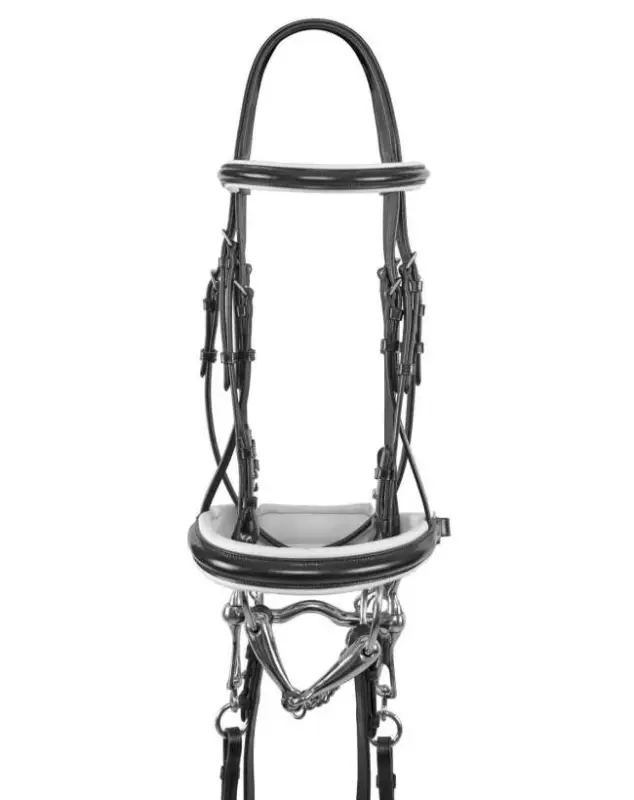 Professionale BRIGLIA DA DRESSAGE CON PROFILO BIANCO