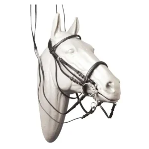 BRIGLIA DA DRESSAGE ECONOMICA CUOIO Offerta Del Giorno