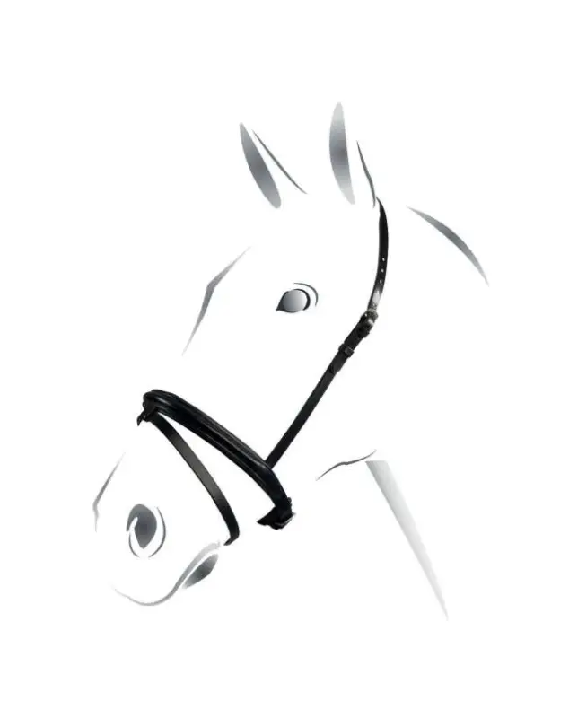 CAPEZZINO CHIUDI BOCCA EQUESTRO Prezzo Ridotto