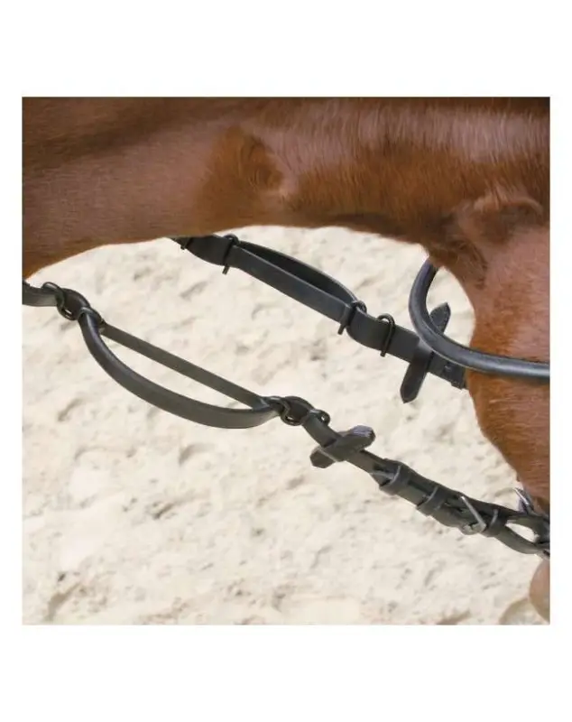 REDINI AUSILIARIE PER CAVALLO Promo Stagionale
