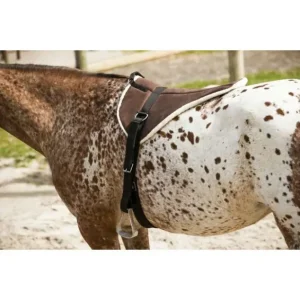 BAREBACK IN TESSUTO CON STAFFE E SOTTOPANCIA Prezzo Scontato